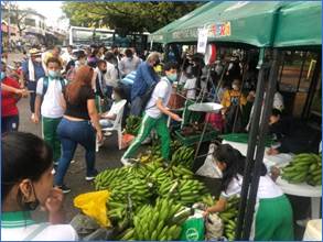 Un mercado de frutas y verduras

Descripción generada automáticamente