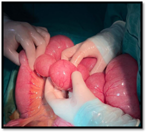 A close-up of a baby's hand

Description automatically generated with low confidence