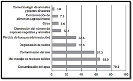 Gráfico

Descripción generada automáticamente con confianza media