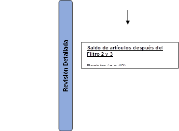 Saldo de artículos después del Filtro 2 y 3
Registro (n = 40) 
,Revisión Detallada

