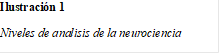 Ilustración 1 
Niveles de analisis de la neurociencia
