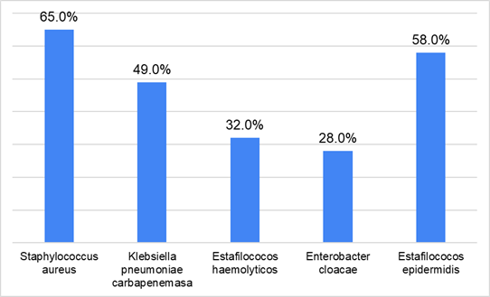 Gráfico, Gráfico de barras

Descripción generada automáticamente