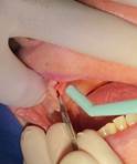 Imagen que contiene persona, interior, cepillo de dientes, bebé

Descripción generada automáticamente