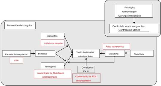 Diagrama

Descripción generada automáticamente