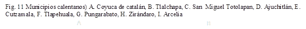 A,B,Fig. 11 Municipios calentanos) A. Coyuca de catalán, B. Tlalchapa, C. San  Miguel Totolapan, D. Ajuchitlán, E. Cutzamala, F. Tlapehuala, G. Pungarabato, H. Zirándaro, I. Arcelia