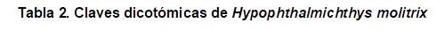 Tabla 2. Claves dicotómicas de Hypophthalmichthys molitrix