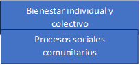 Bienestar individual y colectivo,Procesos sociales comunitarios