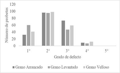 Gráfico, Gráfico de barras

Descripción generada automáticamente